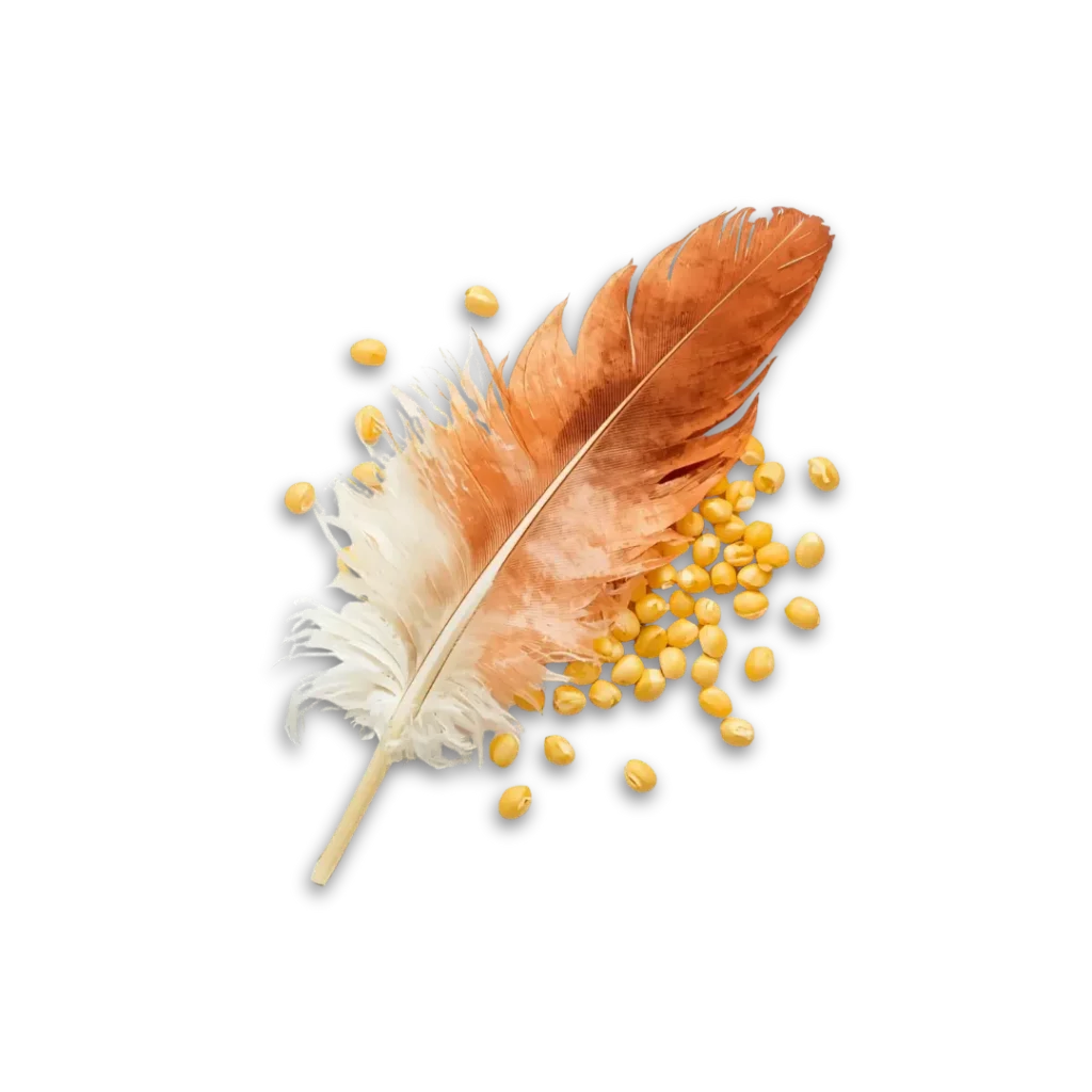 desain tanpa judul (23)